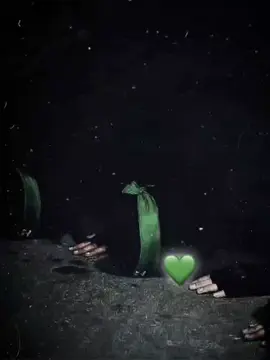 يجهدون في سبيل الله ☝🏽🖤#قران_كريم_ارح_سمعك_وقلبك♡ #لا اله إلا الله محمد رسول لله #اللهم_صل_وسلم_على_نبينا_محمد🖤 #لايك_متابعه_اكسبلور💚