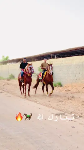 #ماشاءالله_تبارك_الله🧿❤️ #مصراته_سلمتي_وعاش_الوطن #السكت_مصراته❤️🔥 