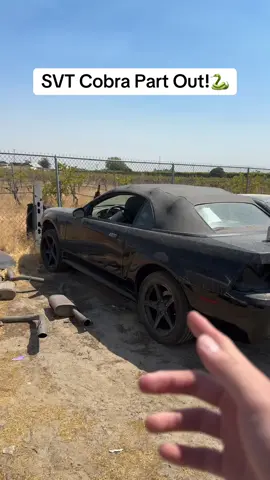 Let me know what ya’ll need #carsoftiktok #tiktokautocampaign #CarMechanic #carrestoration #cartok