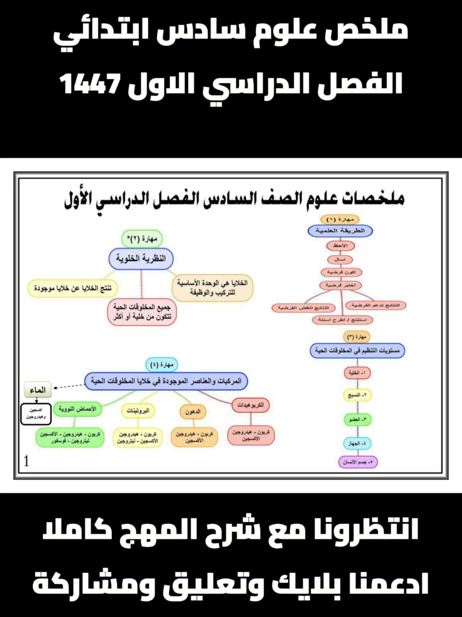 عاجل وهام ملخص علوم سادس ابتدائي الفصل الدراسي الاول 1447#علوم_سادس_ابتدائي_الفصل_الدراسي_الاول #الفصل_الدراسي_الاول_1447 #سادس_ابتدائي_الفصل_الدراسي_الاول