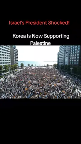 Free Palestine #palestine #freepalestine #protest #gaza #fyp 