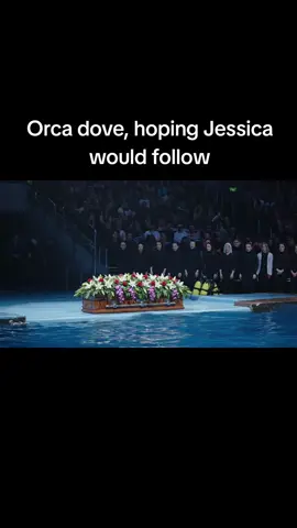Orca dove, hoping Jessica would follow #kessica #orca #foryou #trendingg #viral 