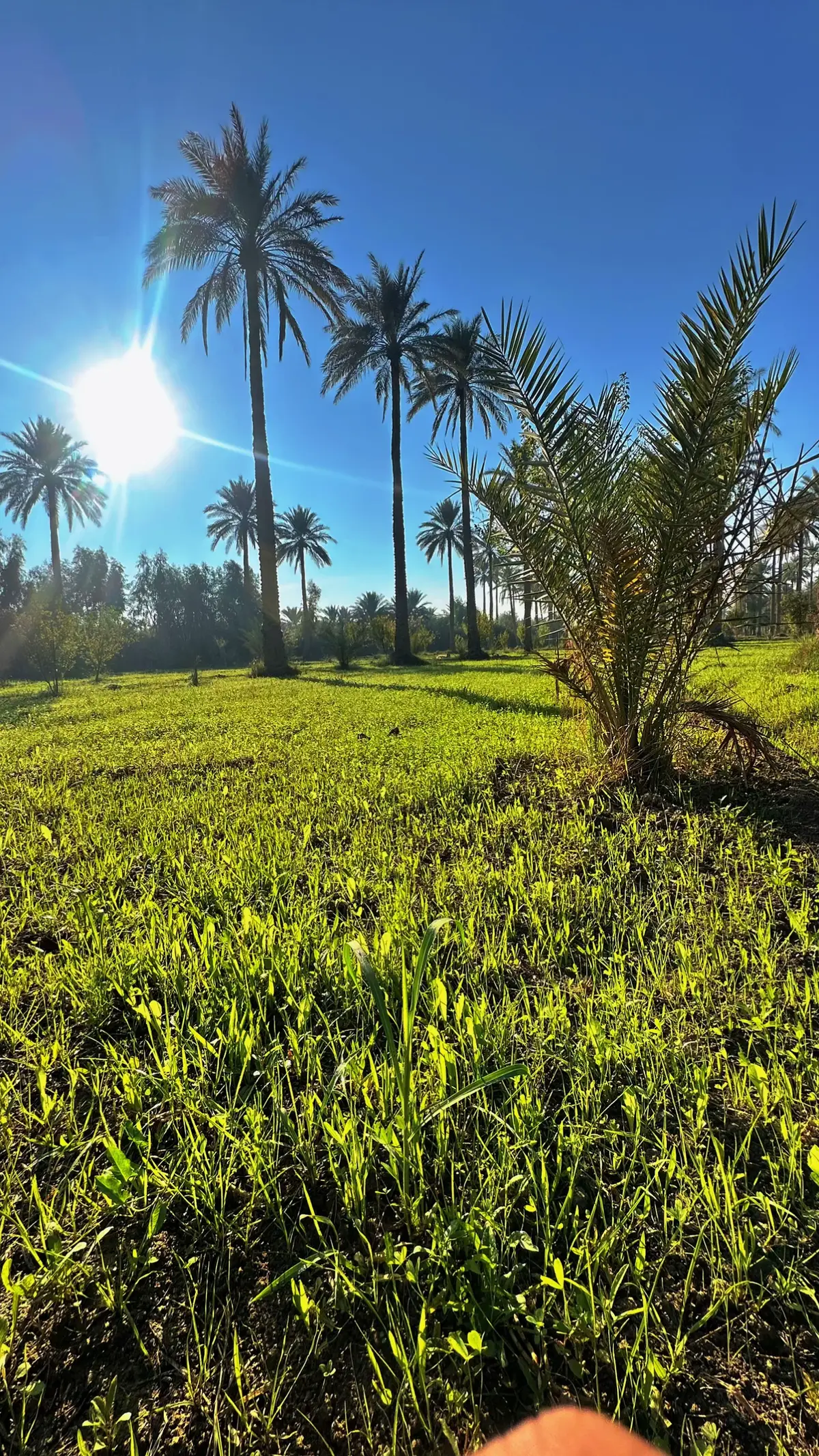 - - - - - - - - #كربلاء #كربلاء_المقدسة #البستان #الريفية #العراق #مشاهير_تيك_توك #مشاهير_العراق #الشعب_الصيني_ماله_حل😂😂 #ترند 