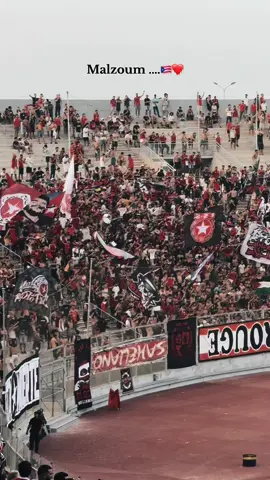 Malzoum ❤️🇵🇷#brigaderouge2001 #fanatic #sahliano07 #stadeolympiquedesousse #sahliano🇨🇺❤ 