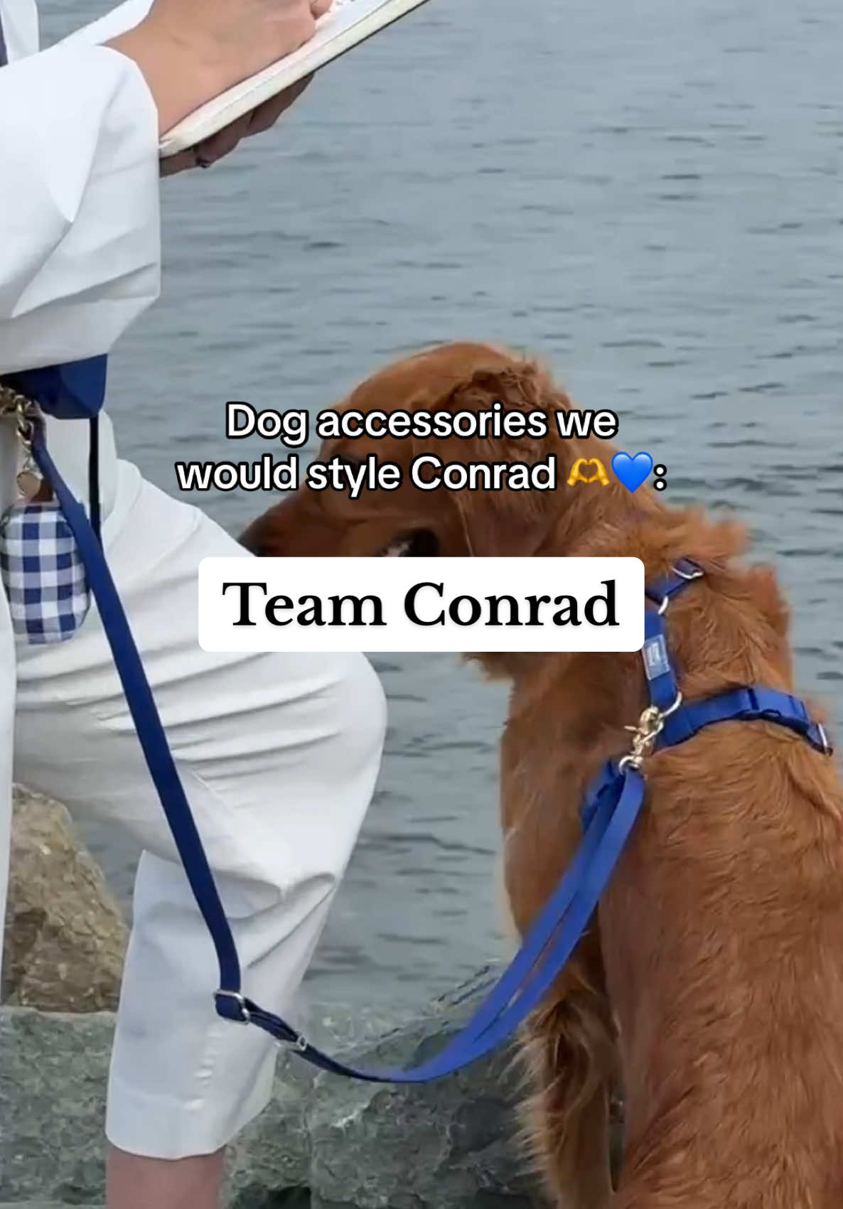 The summer I (a 32 y/o adult) was way too invested in tween drama 🫠  #thesummeriturnedpretty #teamconrad #conradfisher #navyblue #dogaccessories #dogharness #dogcollar #dogleash #crossbodyleash #dogwalkinggear #bestdogproducts #dogparents #dogowner #petparent #musthavedogproducts 