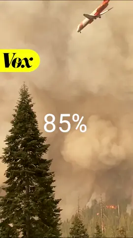 With wildfires happening year round, especially in rural areas, this is what you need to do if you live in a high-wildfire-risk zone. #wildfires #firefighters Presented by @T-Mobile. 
