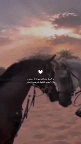 #زارني_والشوق_في_عينه #اشتاقلك #اغوى_كويتيين🇰🇼 #مالي_خلق_احط_هاشتاقات #fypシ #لايكات 