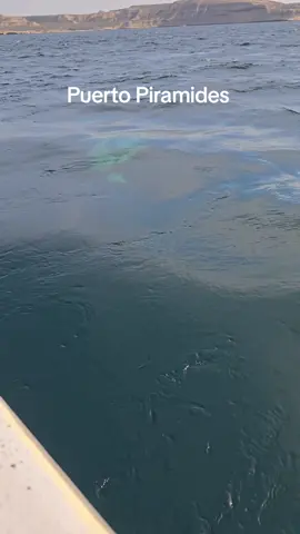 #puertopiramides 
