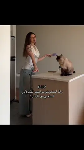القط مصدوم😂 #اكسبلورexplore #اكسبلور #pov #fyp 