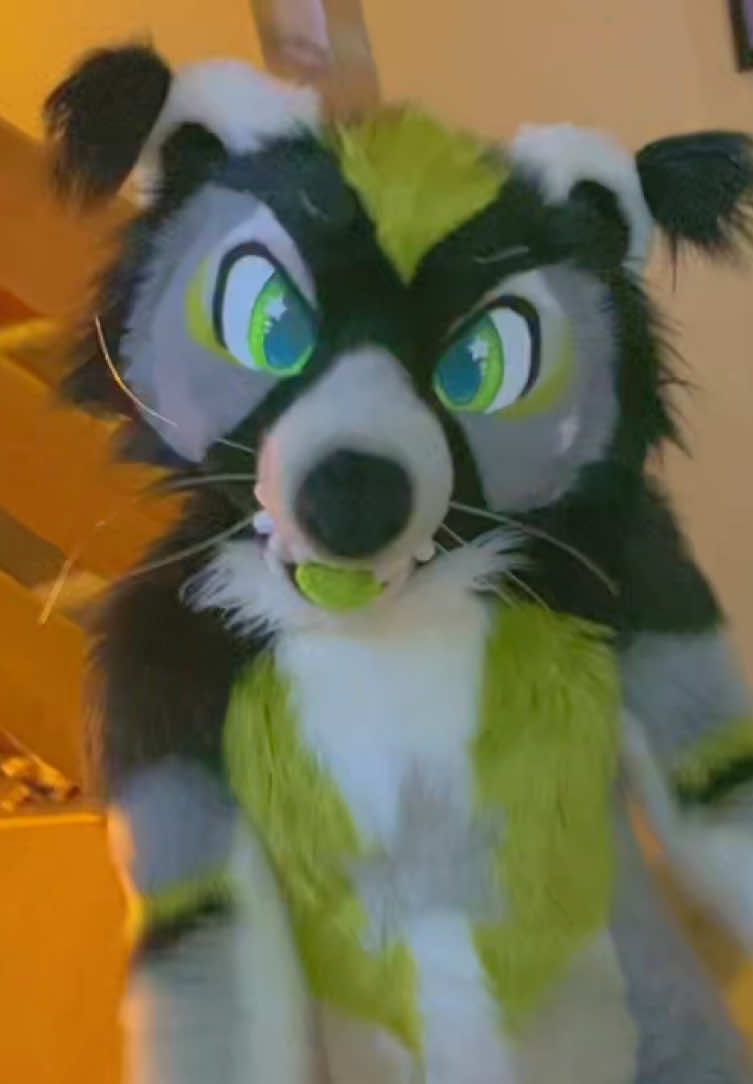 🍏 YAY!!! fullsuit MOMENT! #furry #fyp #fursuit #fursuitdance #fursuiter 