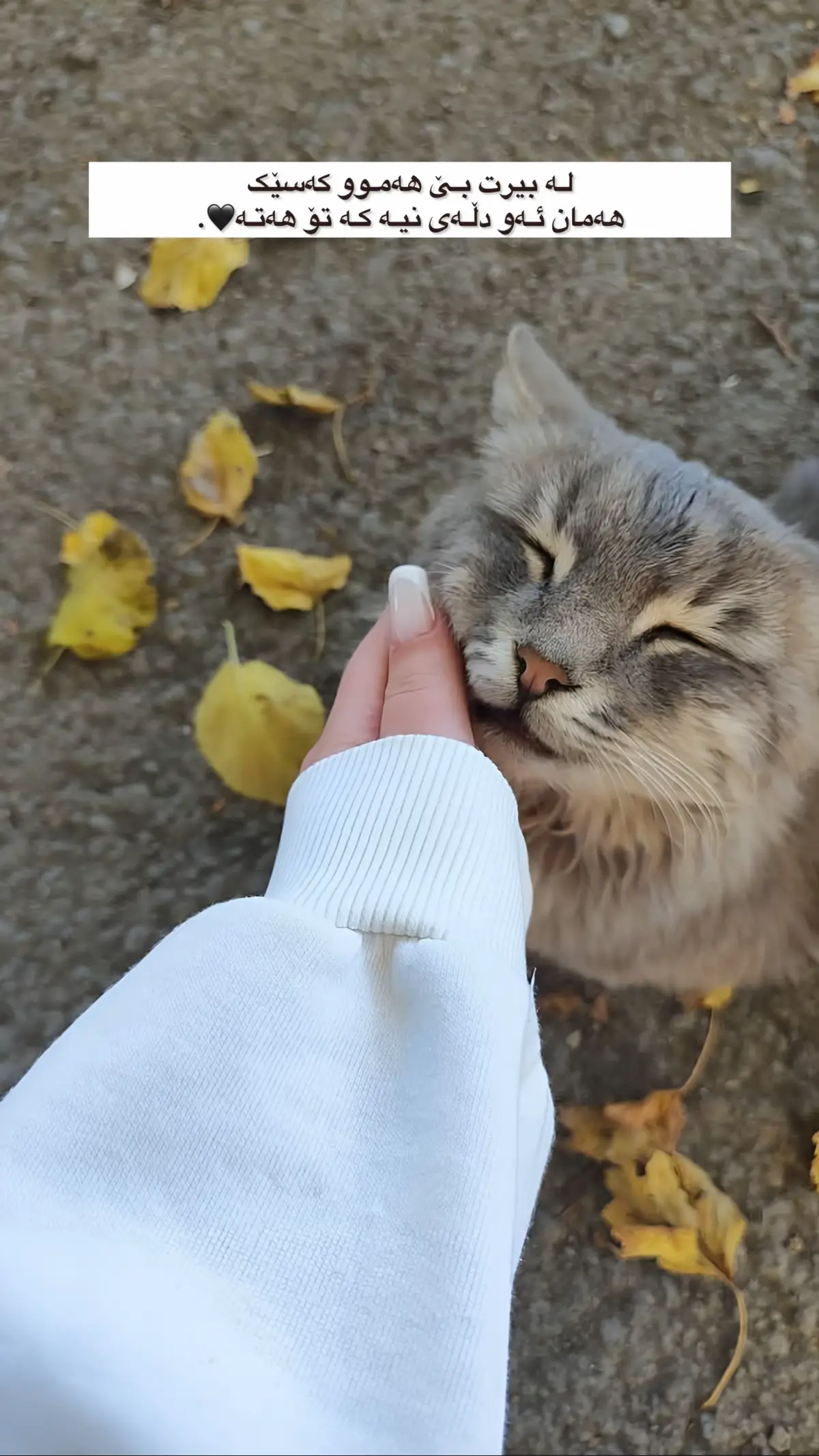 #foryou #foryoupage #fypシ゚viral🖤tiktok #fypage #fypageシ 