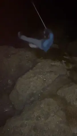 Rock & Shark- 1, Teezy- 0😂😂😂😂 This 💩 don’t make no sense #saltlife #shark #sharkfishing #florida #blooper 