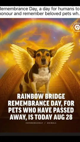 Today, Aug. 28, is Rainbow Bridge Remembrance Day❤️ Here is my baby Asia Nicole. She was such a good doggie. She loved me so much as much as I loved her. I miss her everyday but today I’m especially missing her a little more. She will always have my heart. I miss her everyday, every single moment but I feel her around me the most during those moments so I won’t trade them for anything. I love feeling her near me. Momma love you Asia. I’ll see you again. See you later. ❤️❤️❤️