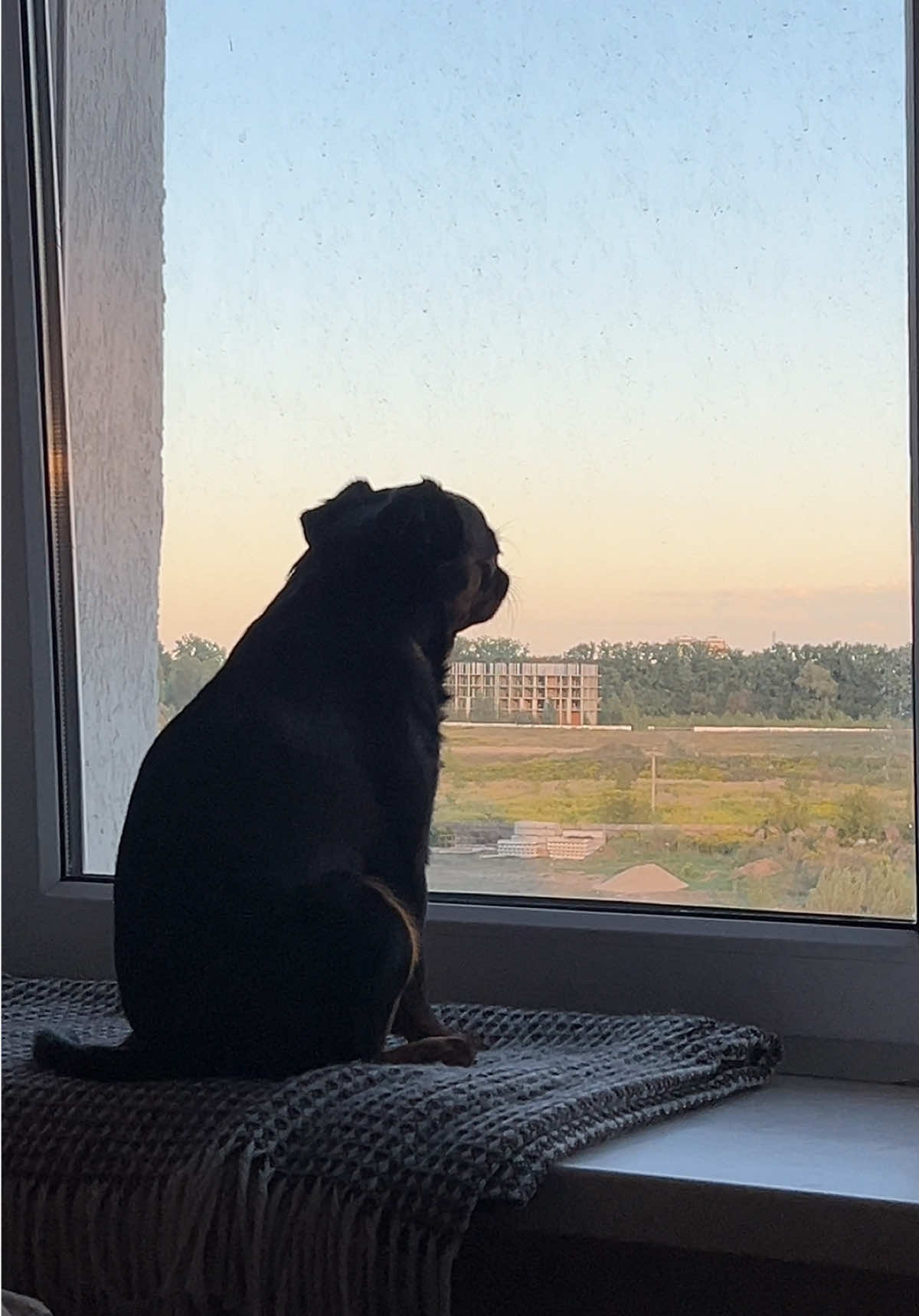 Thinking about life 