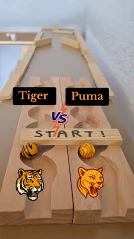 Wild races. Jungle instincts. Choose your beast. 90 #TigerVsPuma #WildMarbles #ASMRrace #ChooseYourSide #MarbleChallenge 