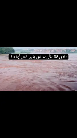 راوی 38 سال بعد اپنی جاگیر واپس لیتا ہوا ❤️‍🩹  #flood #ravi #lahore #foryou #viral 