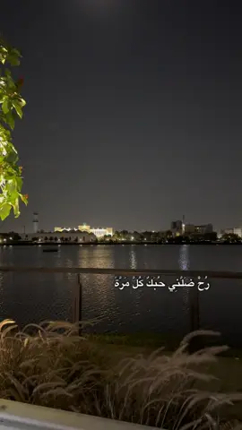 #CapCut رح ضلني حبك كل مرة  #اكسبلور #فضل_شاكر #fypシ゚ #تصويري📷 
