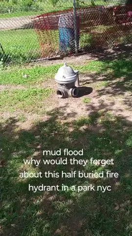mud flood fire hydrant nyc #flood #mudflood #oldworld #usa #people