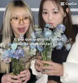 #tzuyu #chaeyoung #amikas💞 #contenidoviral #parati 