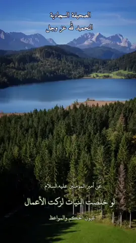 #لا_اله_الا_الله_محمد_رسول_الله #اللهم_صل_على_محمد_وآل_محمد #الدعاء #الصحيفة_السجادية #حسين_غريب 