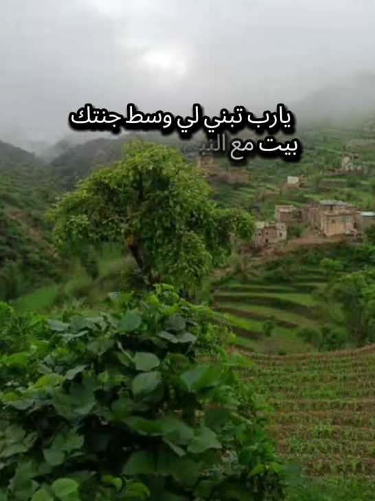 #يارب #الحمدلله_دائماً_وابداً💚🌧️🤲 #الحمدالله_علی_کل_حال❤ #اللهم_صلي_على_نبينا_محمد 