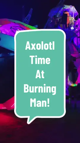 The axolotl at Burning Man