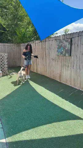 Go Zeus, go!!!