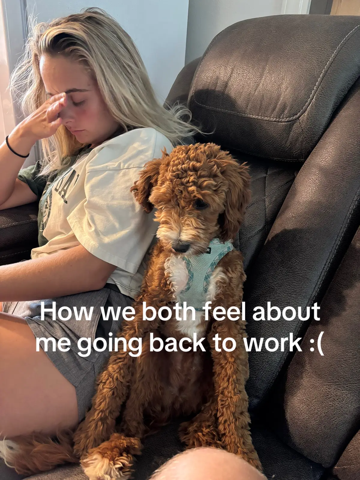 #fyp #dogmom #teacher 