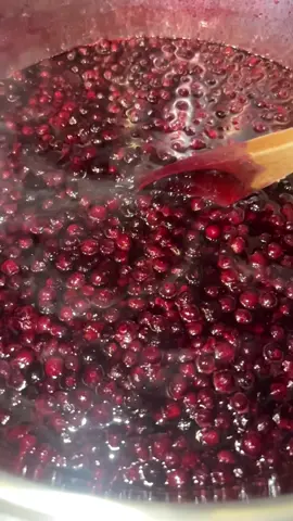Montana huckleberries! Were making huckleberry syrup today!! #fyp #Montana #Billings #huckleberry #canning