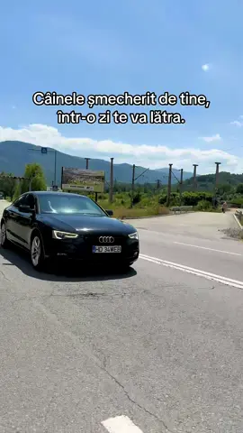 #fyromania🇹🇩 #audiromania #lauda #bani #vorbeadevarate 