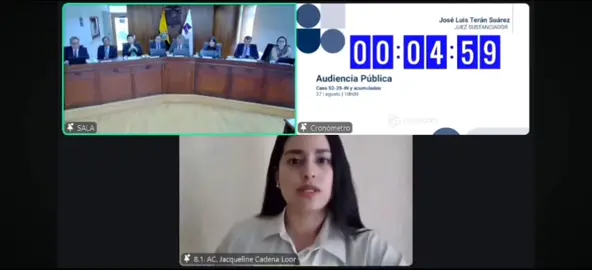 ADECE presente amicus Curiae - Corte Constitucional 🇪🇨 Profesionales del departamento de Consejería Estudiantil #equidad #dignidad #ecuador #concursosdemerito 