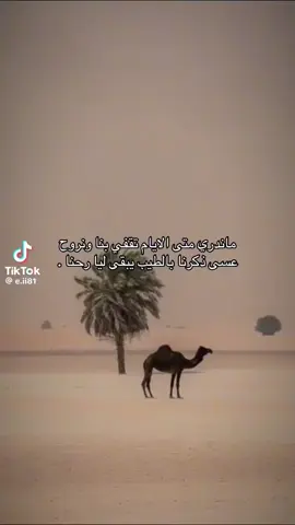 #هوجيس 