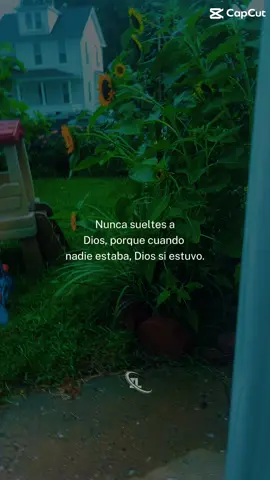 #fypage #Dios #girasoles🌻 #tiktok #paratiiiiiiiiiiiiiiiiiiiiiiiiiiiiiii 🌻🌻🌻🌻🌻🌻🌻🌻🌻🌻🌻🌻🌻