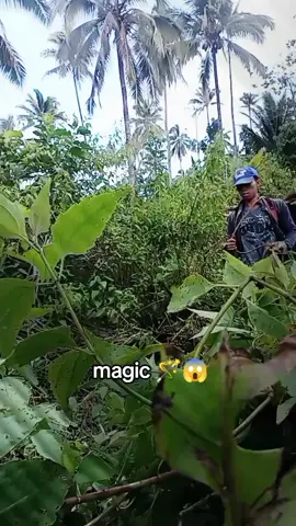 wow magic 🪄😱 #highlightsシ゚ #tiktokviral 