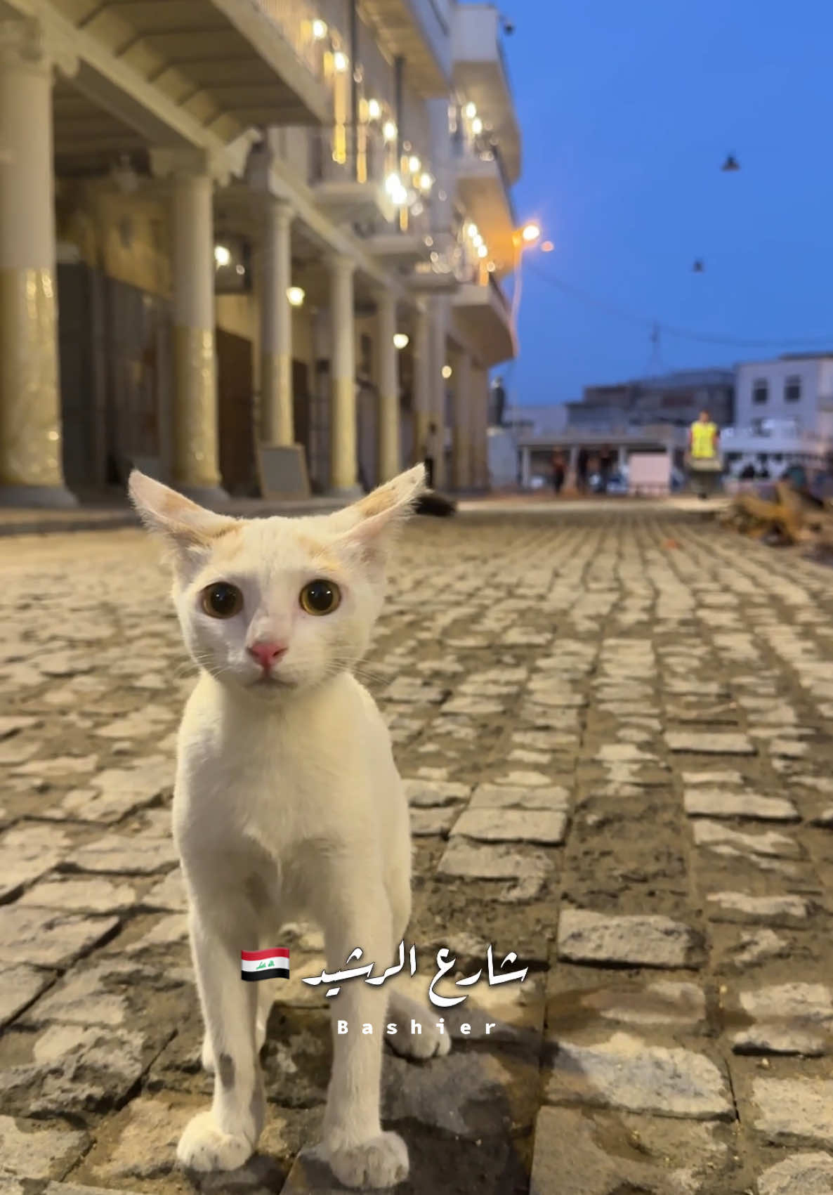 الاعمال النهائية لشارع الرشيد الافتتاح ٩/١ ' ' ' ' #بغداد #شارع_الرشيد #المتنبي #شارع_المتنبي 