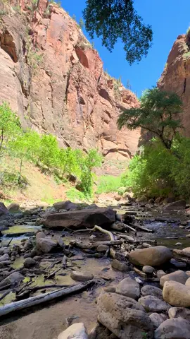 Zion Narrows Riverside Walk #zion #zionnationalpark #thenarrows #Hiking #travel 