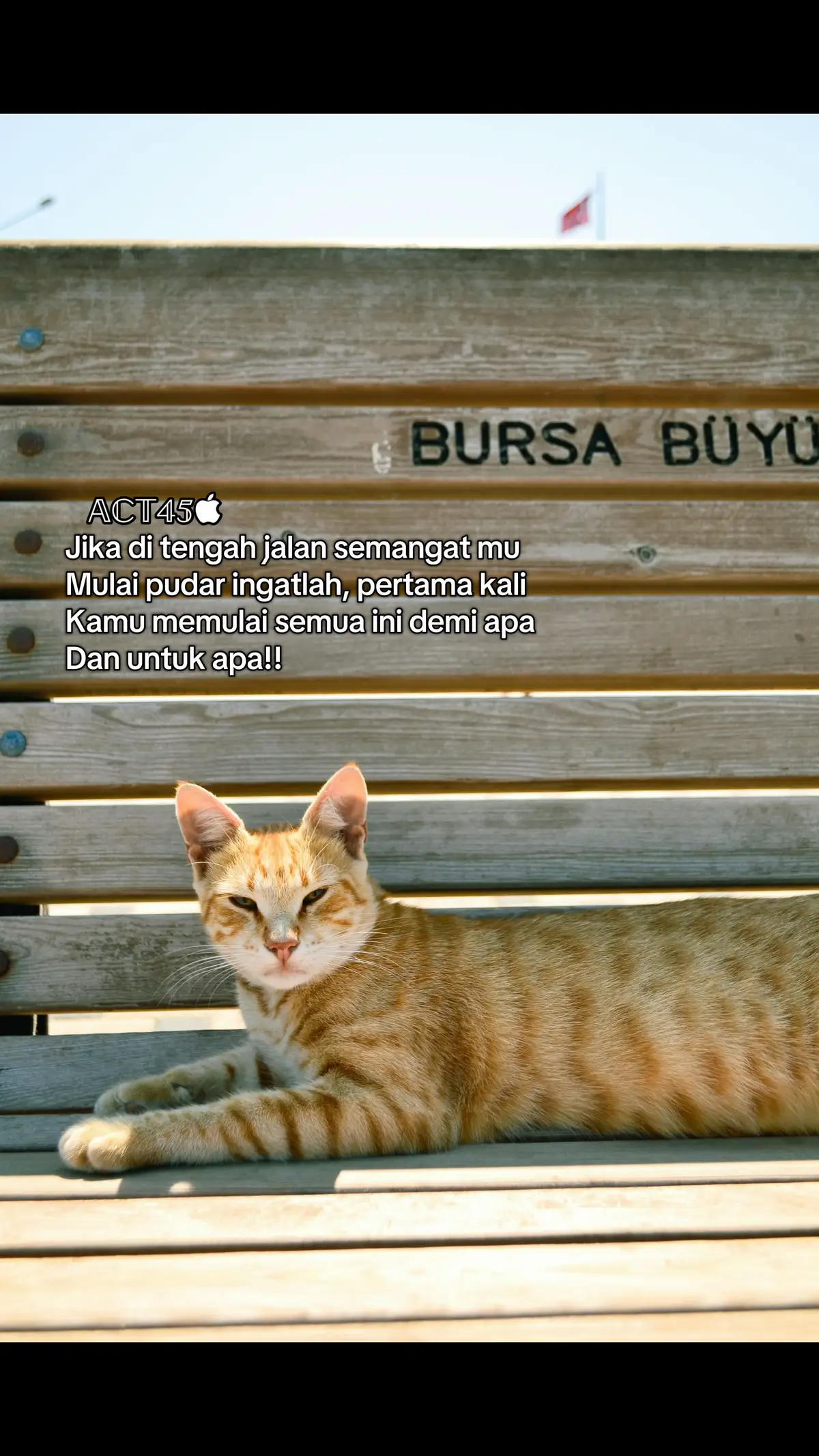 #xyzabc #fyp 