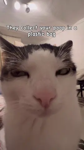 Explain this