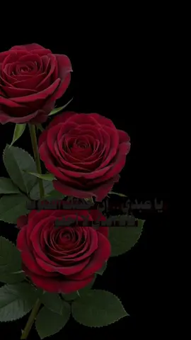يا عبدي أنا معك فإن جافوك ، فأنا حبيبك وإنْ أوجعوك فأنَا طبيبك..🥺❤️‍🩹🌹#سبحانك_ربي_ما_اعظمك🖤🥀 