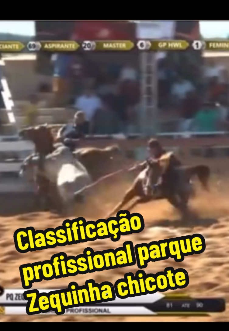 Classificação profissional Parque ZEQUINHA CHICOTE #vaquejada #viralvideo #fy 