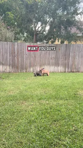 Can they just…