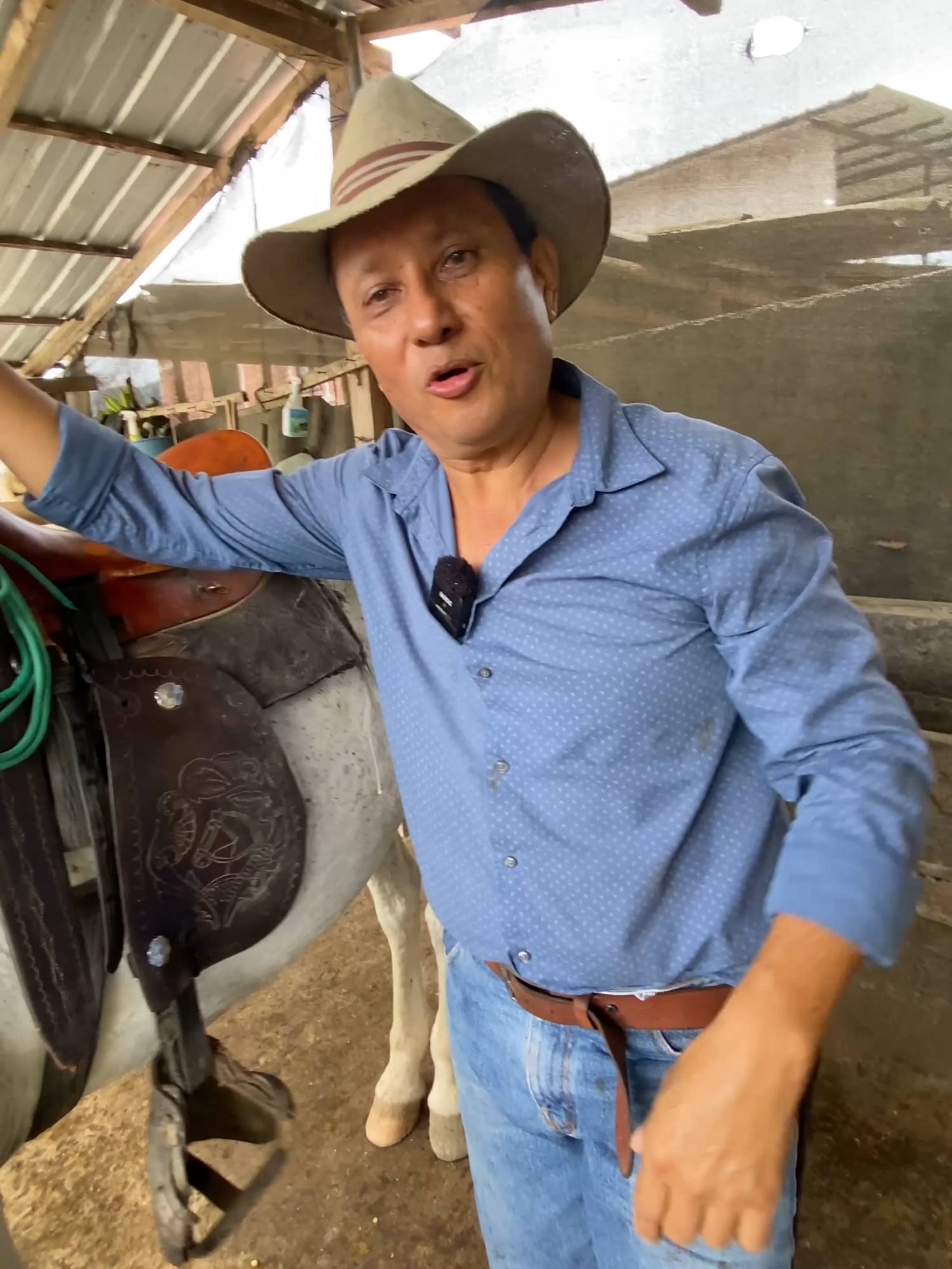 Lo que necesitas saber antes de montar tu primer caballo #campo #rancho