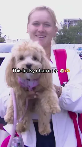 Okay, we are obsessed…🐶 #USOpen #Tennis #Dogs 