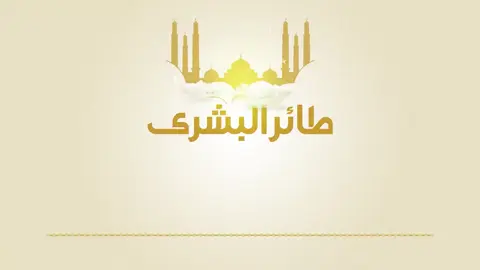 زامل | طائر البشرى - عيسى الليث  #عيسى_الليث🔥🇾🇪 #ترندات_تيك_توك #ترند #الترند_بطريقتنا 