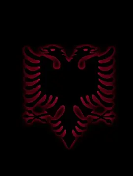 #fy #fyp #kosovo 🇽🇰 #albania 🇦🇱