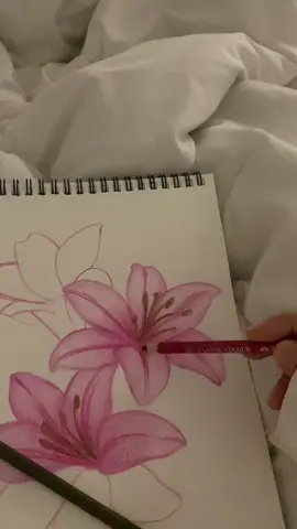 اصواتي الداخليه وقت الرسم : #lily #artist #fyp 