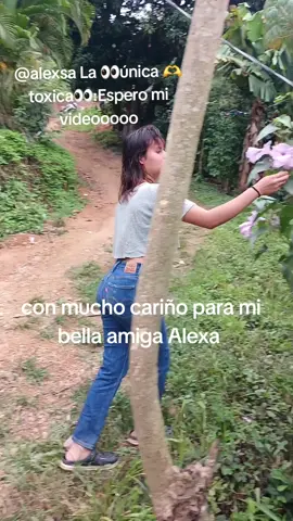 saluditos amiguita Alexa estamos para servirle