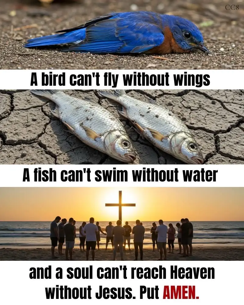 Amén 🙏 