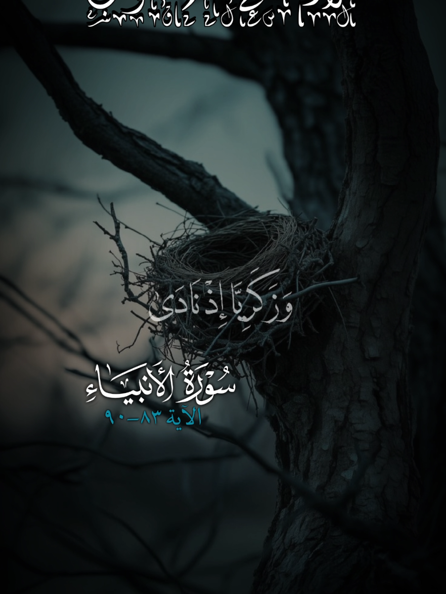 #CapCut #قران_كريم #راحه_نفسيه #ارح_سمعك_بالقران #اكتب_شي_توجر_عليه 