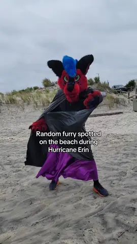 I needed to post something with this sound meme 😅 #furry #furries #fursuit #hurricaneerin #hurricaneerin2025 
